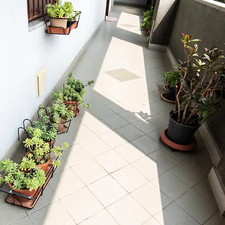 Apartment Bellarmino 21 *